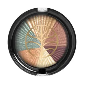 wet n wild Color Icon Eyeshadow, Earth