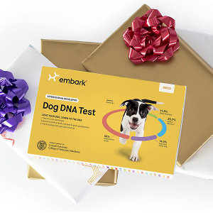 Embark Breed & Ancestry Dog DNA Test Kit