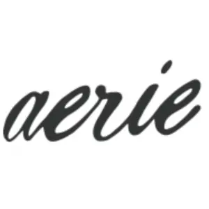 Aerie: 内裤10条只需$38