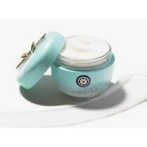 Tatcha the water cream