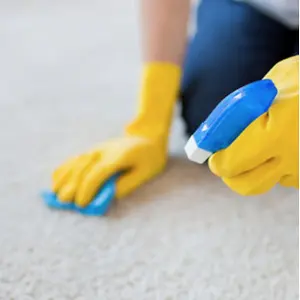 Ways To Clean Your Carpets