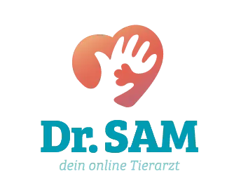 Dr. SAM DE Gutschein 