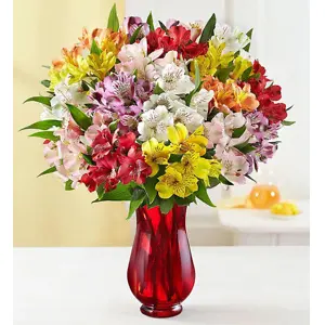 1800flowers CA: Get Up to 33% OFF for Sale Items