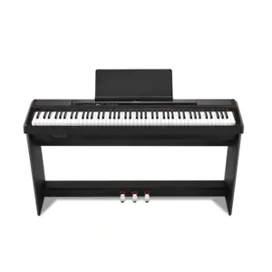 Donner Music: Save 15% OFF Keyboards