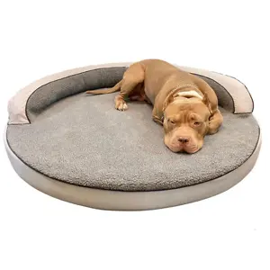 Bully Beds: 15% OFF Your Order with Sign Up