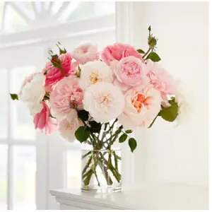 grace rose farm: Save 20% OFF on Mother's Day Roses