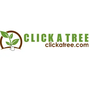 Click A Tree: 11% OFF All Orders