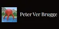 Peter Ver Brugge