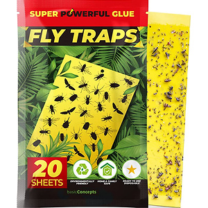 BASIC CONCEPTS Fruit Fly Trap (20 Pack)