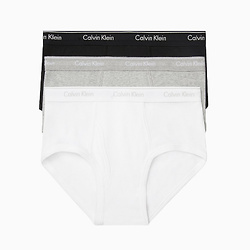 Big + Tall Cotton Classic 3-Pack Brief