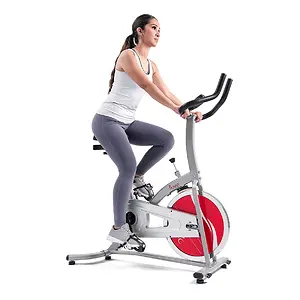 Sunny Health & Fitness Indoor Cycling Exercise Bike SF-1203