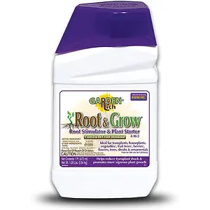 Bonide Root & Grow Concentrate, 16 oz
