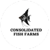 The Consolidated Fish Farms折扣码 & 打折促销