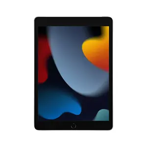 Apple iPad 10.2-inch Wi-Fi 256GB Tablet