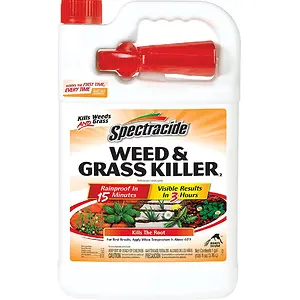 Spectracide Weed & Grass Killer