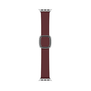 Apple Watch Band - Modern Buckle (40mm)
