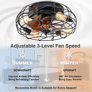 SUNVIE 20-in Low Profile Caged Ceiling Fan with Light
