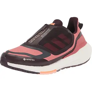 adidas Women's Ultraboost 22 GTX Running Shoe