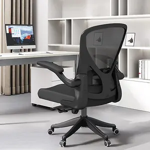 Sichy Age Ergonomic Office Chair with Flip-Armrest & Cushion