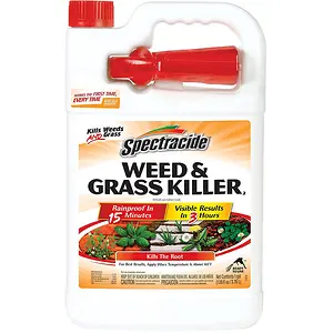 Spectracide Weed And Grass Killer 1 Gallon