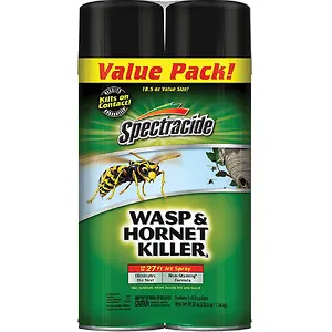 Spectracide Wasp & Hornet Killer Aerosol, 20-oz, 2-PK