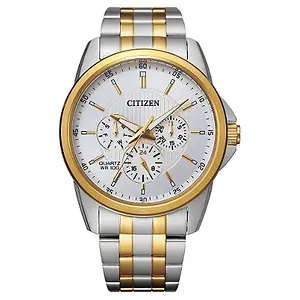 Citizen Mens Two Tone Stainless Steel Watch
