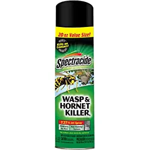 Spectracide Wasp & Hornet Killer Spray