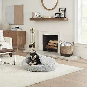 Kohls dog clearance bed