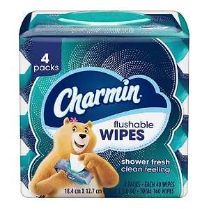 Charmin Flushable Wipes, 40 Wipes Per Pack, 4-Packs