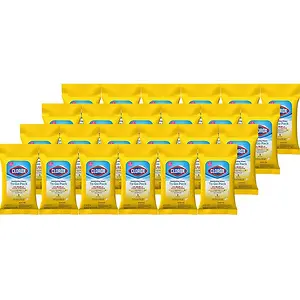 Clorox Disinfecting Wipes Travel Size 48 Pack