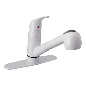 Pfister Pfirst Series 1-Handle Pull-Out Kitchen Faucet