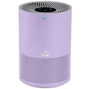 BISSELL 2780P MYair Air Purifier with High Efficiency and Carbon Filter with Timer