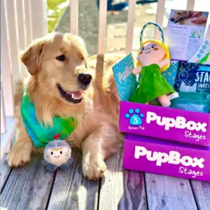 PupBox: Get 50% OFF Your First Order