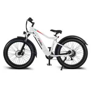 favoto: E-bikes Sale Up to 50% OFF