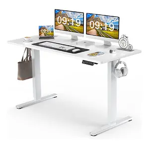 Sweetcrispy 48 x 24-in Electric Standing Desk with 3 Memory Presets