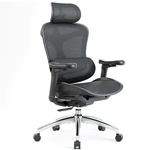 SIHOO: SIHOO Doro C300 Ergonomic Office Chair Save 31% OFF