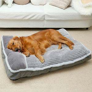 Petco: Up to 50% OFF Dog Beds & Throws