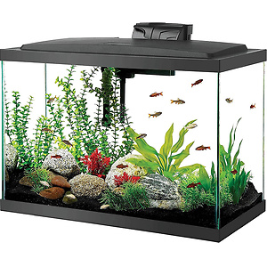 Petco: Up to 50% OFF Tank Sale