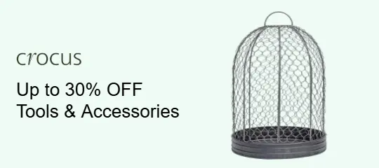 Crocus: Summer Sale Up to 30% OFF Tools & Accessories