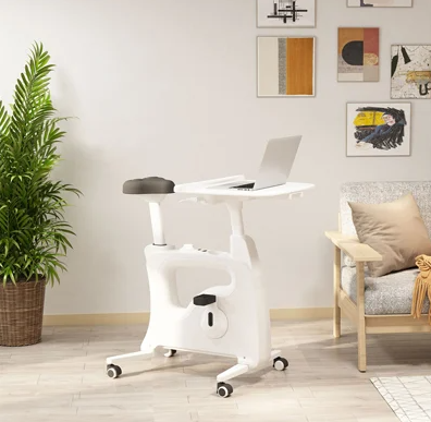 FlexiSpot Desk Bikes