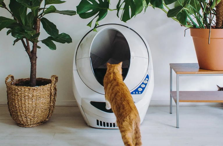 Litter-Robot 3 Reconditioned