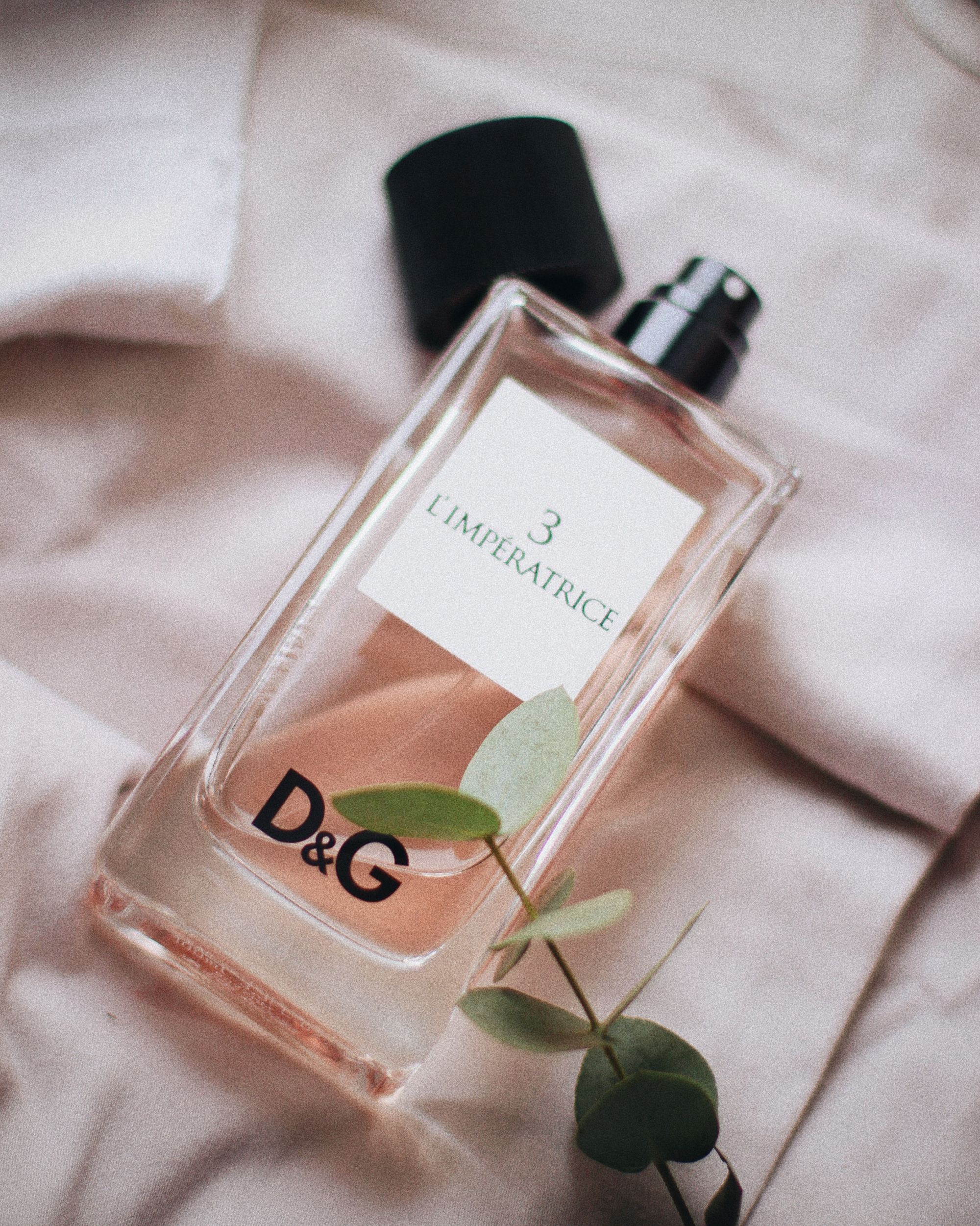 D&G Perfumes