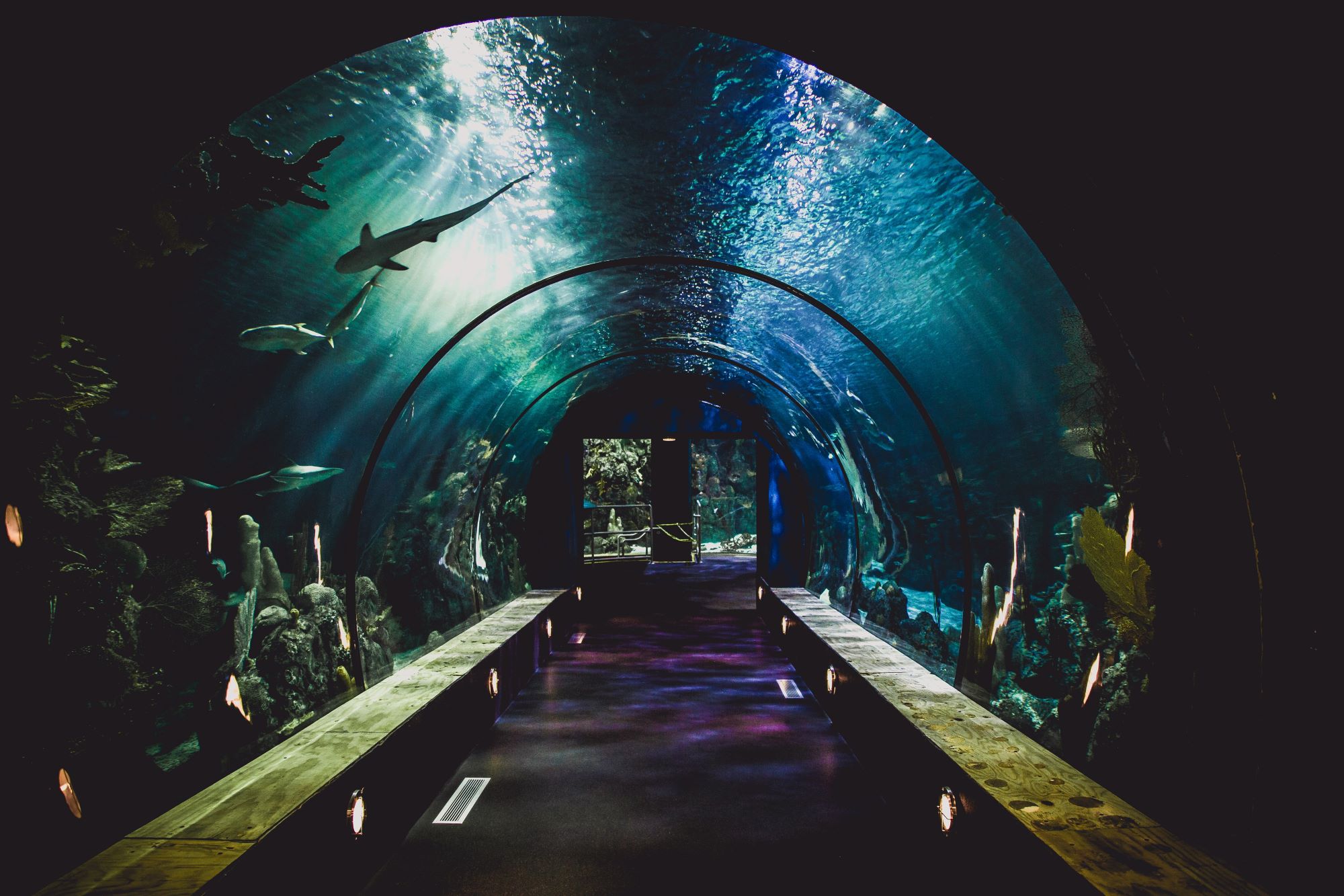 Routes to the 2 Aquariums