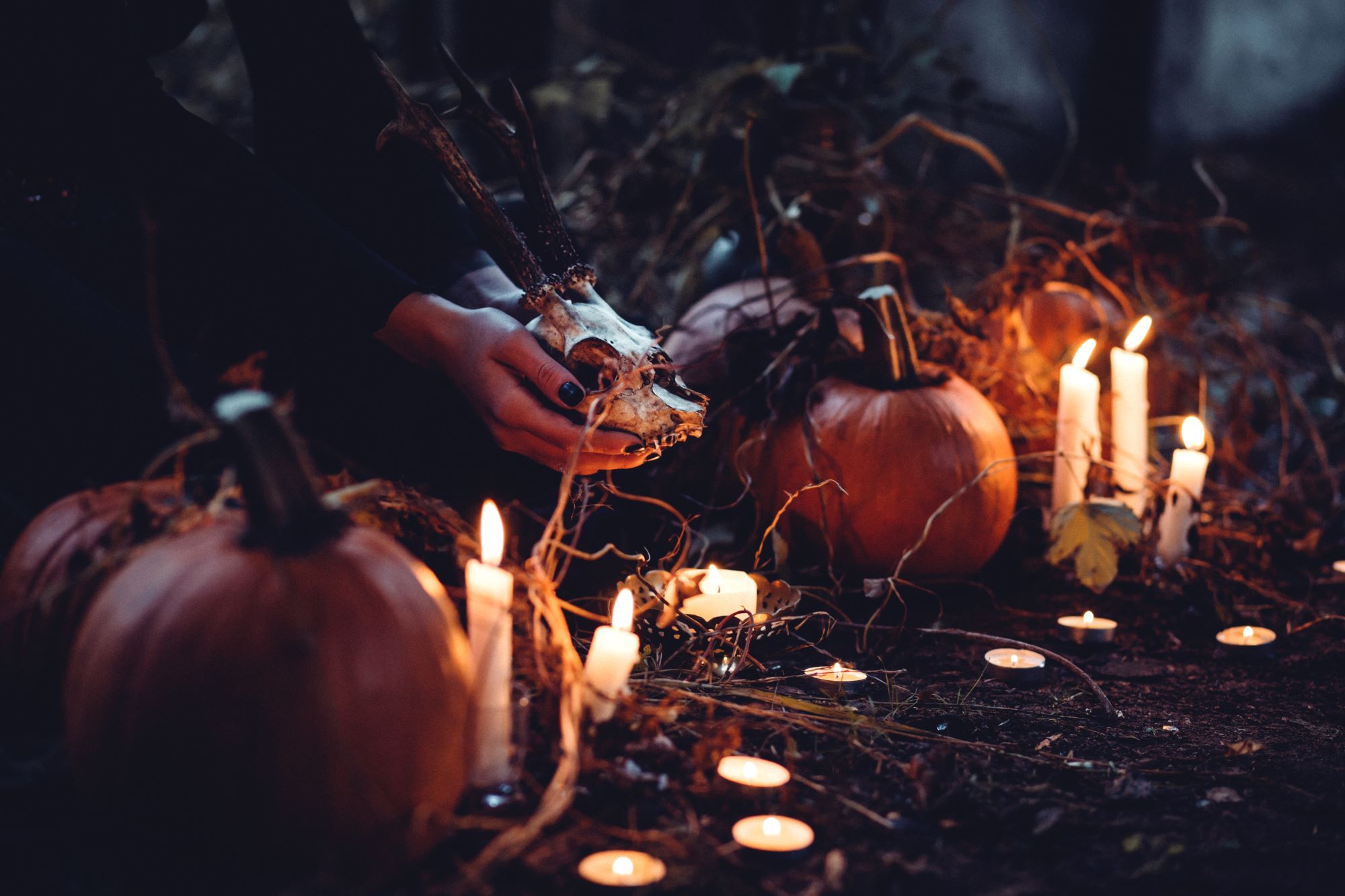 Discover Halloween Candles for a Delightful Halloween 2023