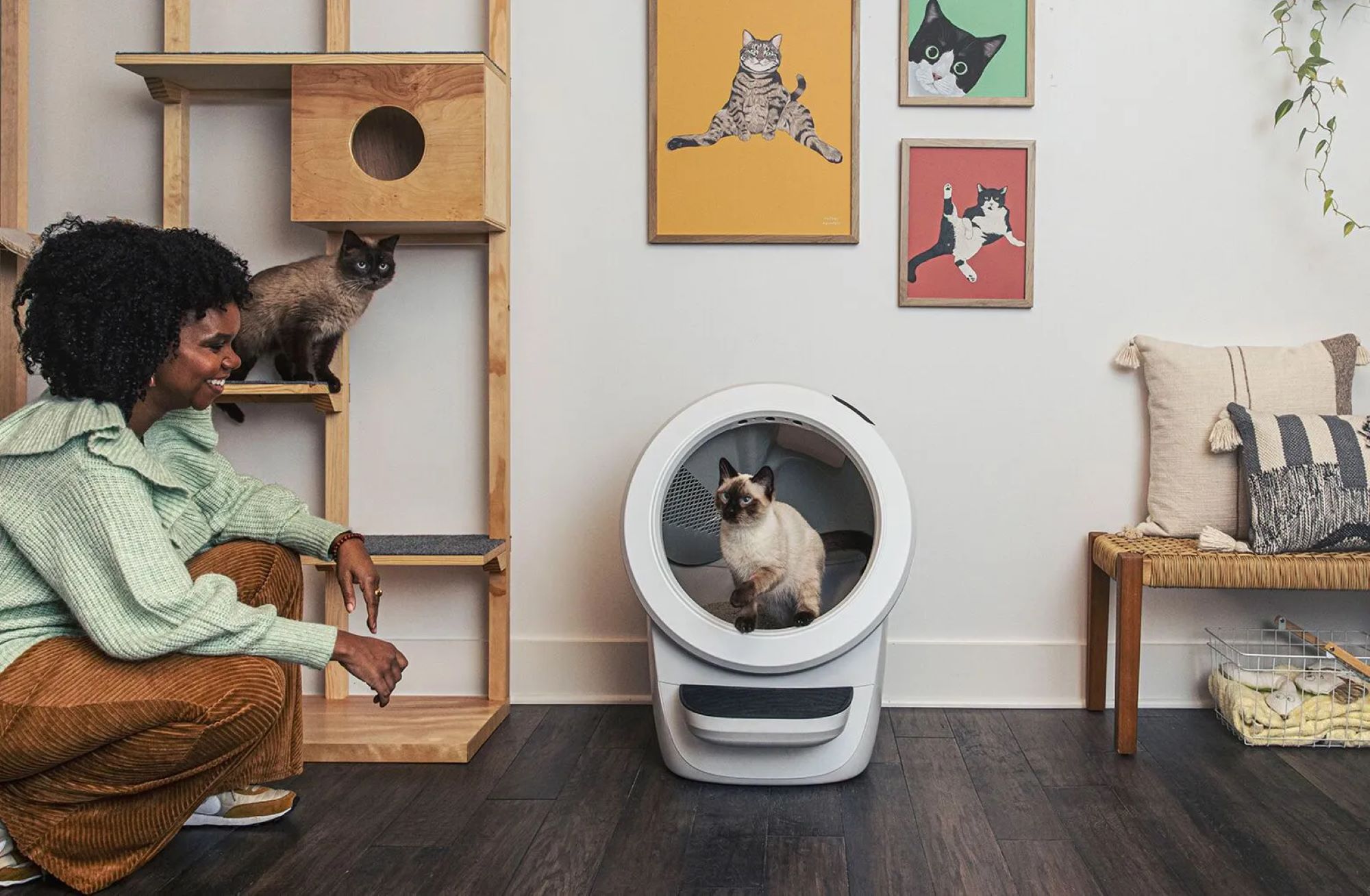 How the Litter-Robot Can Help You Save Time and Money