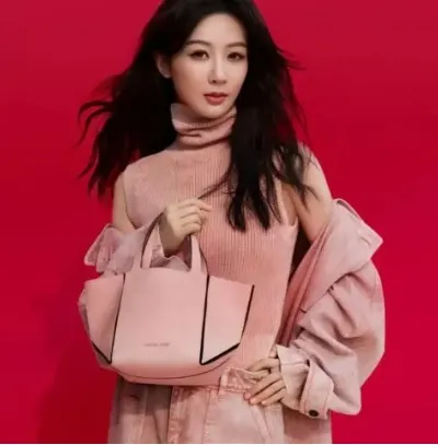 杨紫同款！Michael Kors  新年限定 Jordi 托特包