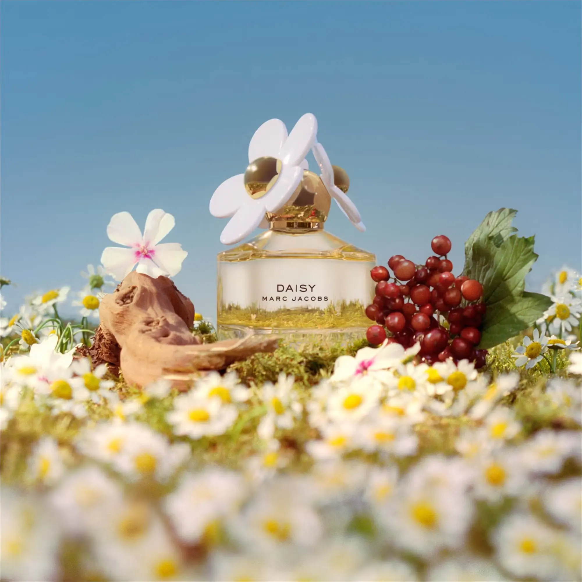 Marc Jacobs Daisy 小雏菊香水 50ml