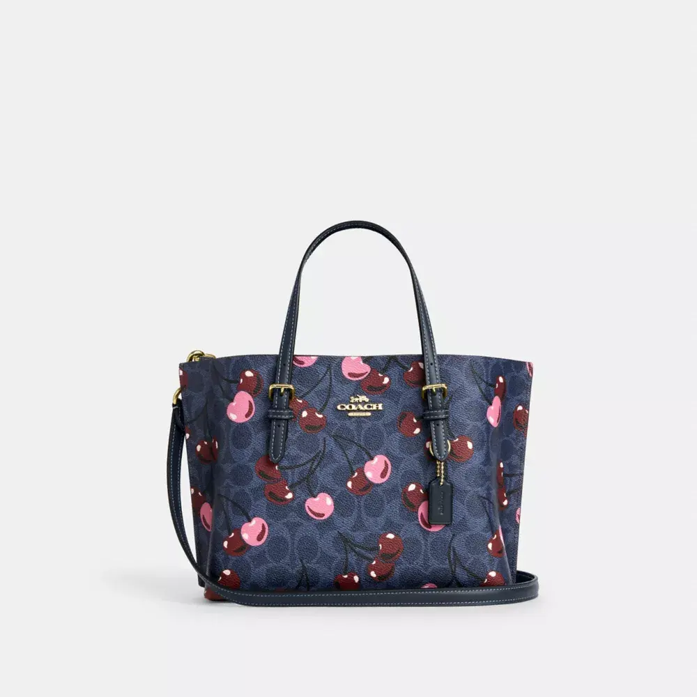 Coach mollie tote 25 蔻驰托特包