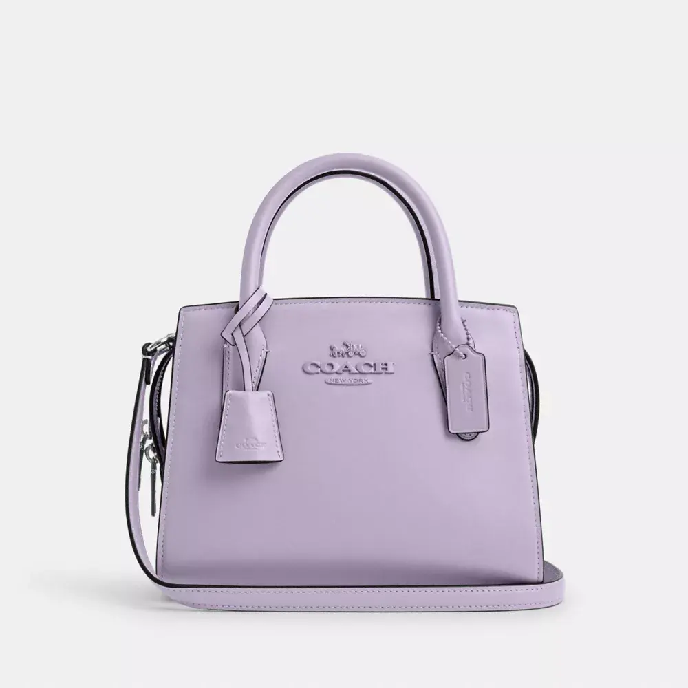 Coach andrea carryall 蔻驰手提包