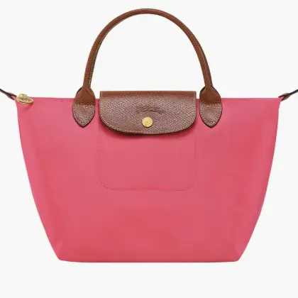 Longchamp  小号饺子包